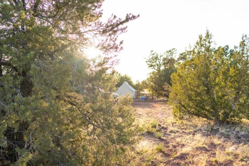 The Kaya Glamping Tent By The Grand Canyon Valle Kültér fotó